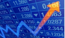 Investor Relationship